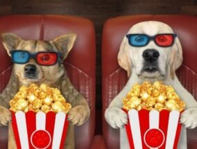 En İyi Animasyon Filmleri