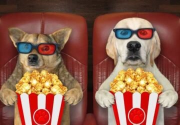 En İyi Animasyon Filmleri