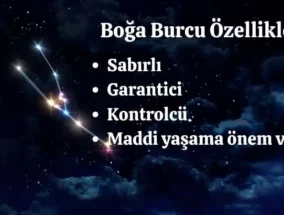 Boğa Burcu Aşk Hayatı