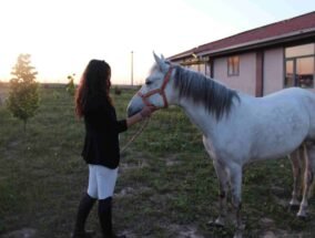 Dilek İlter